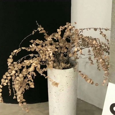 兽设萌系风格设计Furry群